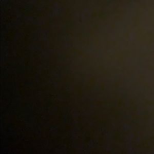 Meet your Posher, Roy